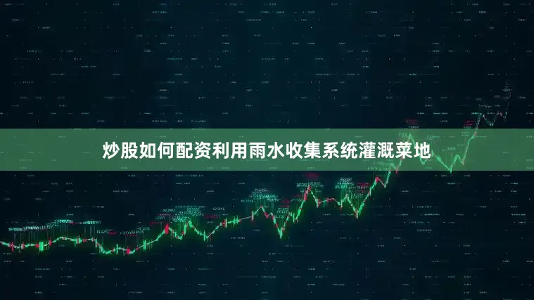 炒股如何配资利用雨水收集系统灌溉菜地