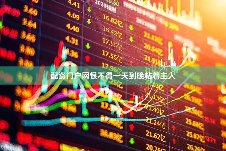 配资门户网恨不得一天到晚粘着主人