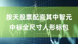 按天股票配资其中智元中标全尺寸人形标包