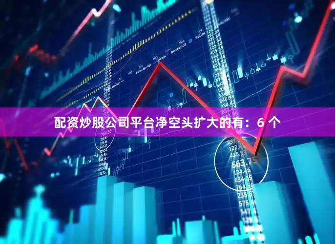 配资炒股公司平台净空头扩大的有：6 个